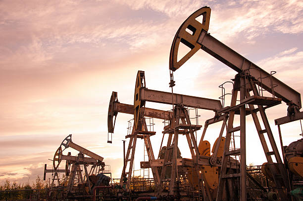 Crude Oil Prices Advance Amid Modest US Inventory Growth and Reduced Output Growth Forecasts