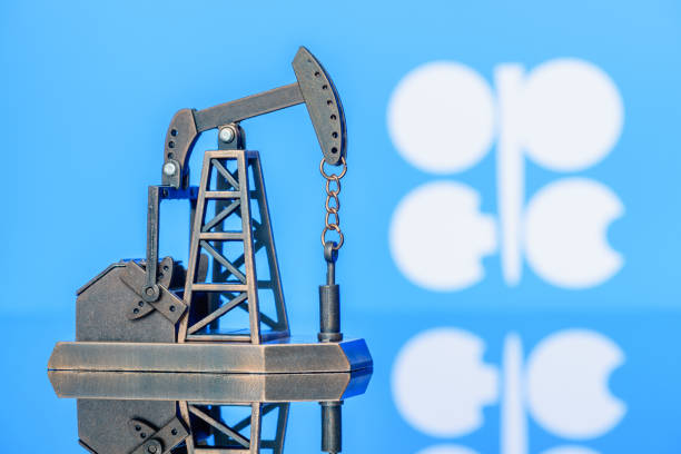 Opec+ Set to Assess Continuation of Oil Production Cuts in March, Maintains Current Output Policy