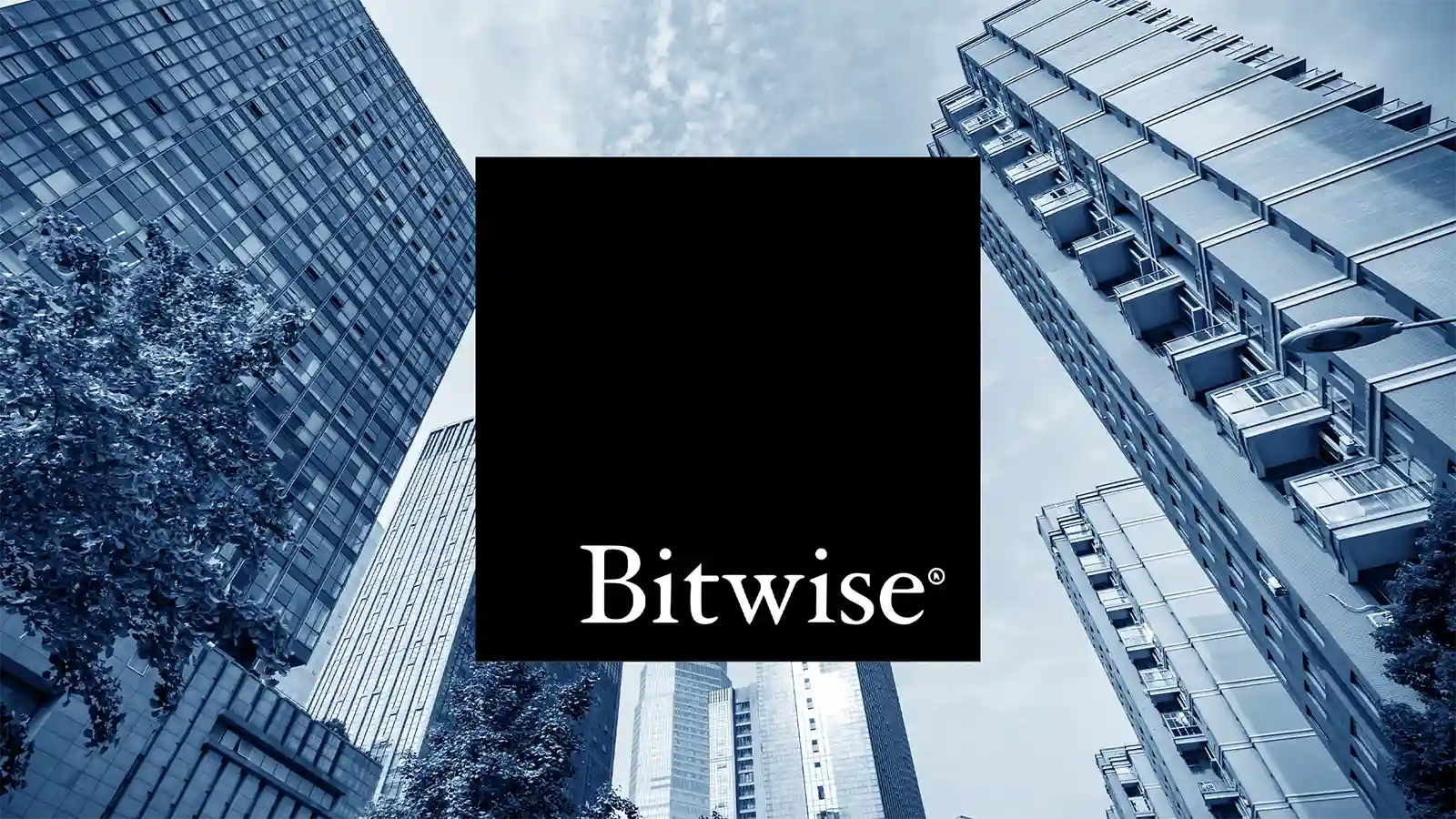 Bitwise CEO Forecasts Surge in Bitcoin ETF Investments by Wealth Management Firms