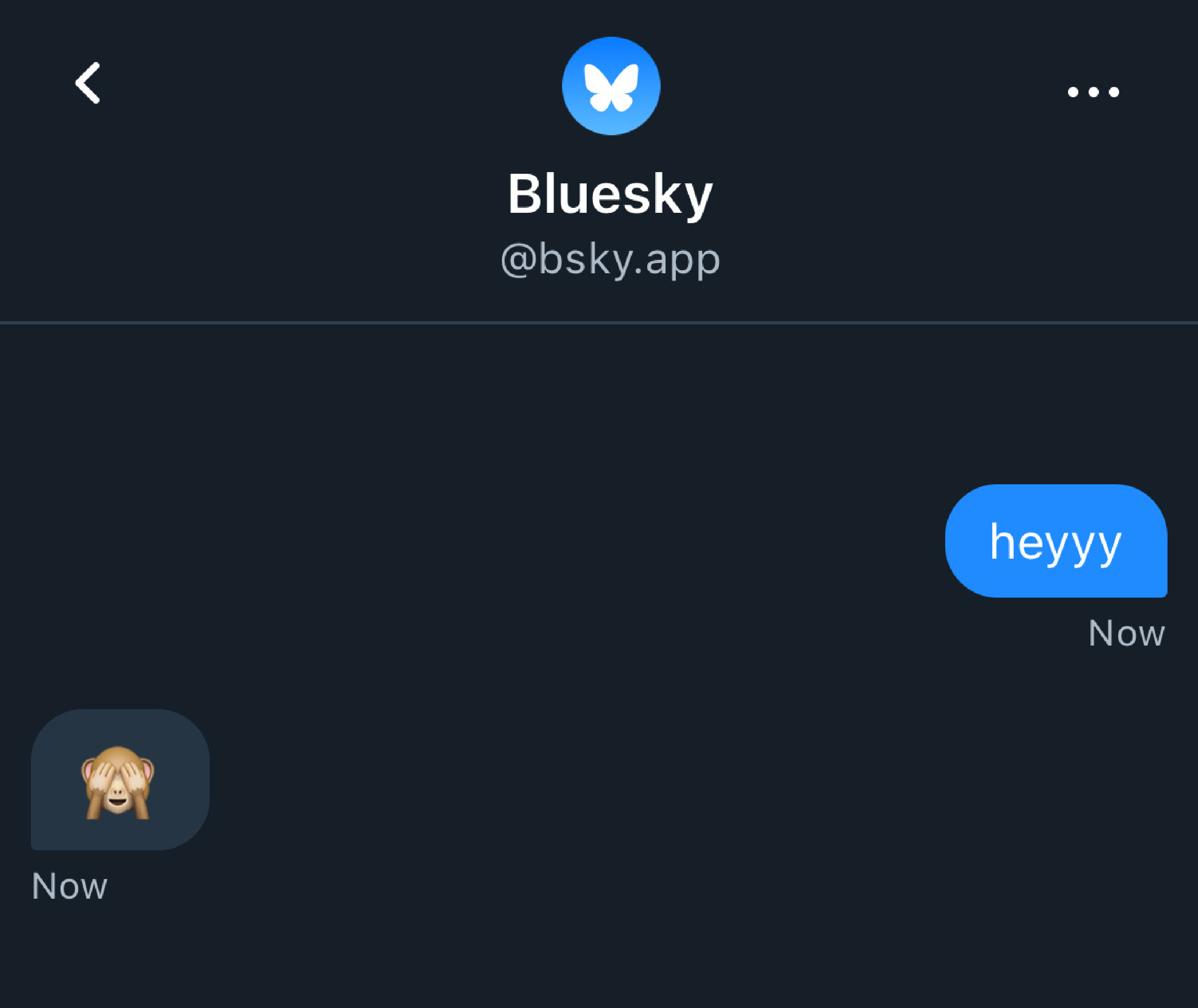 Bluesky Users Can Now Send DMs