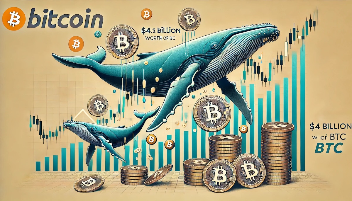 Bitcoin Whales Snapped Up $4.3B of BTC Amid Price Slump