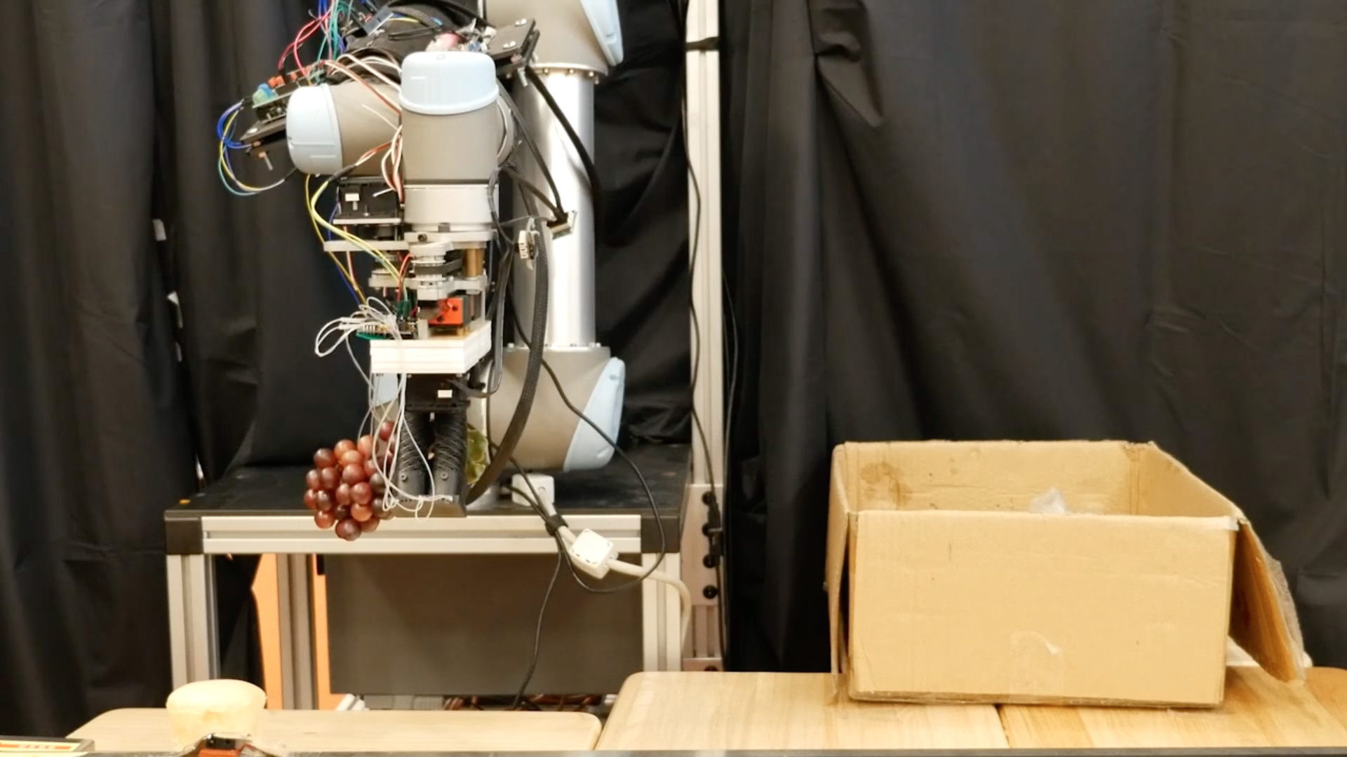 MIT Unveils Soft Robotic Gripper for Automated Grocery Packing