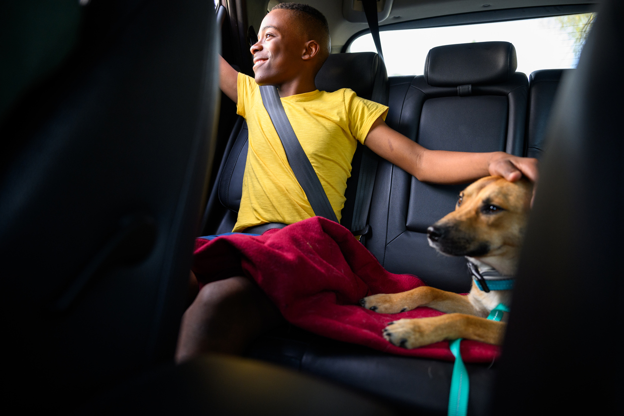 Lyft Now Offers Pet Rides to Make Traveling with Pets Easier