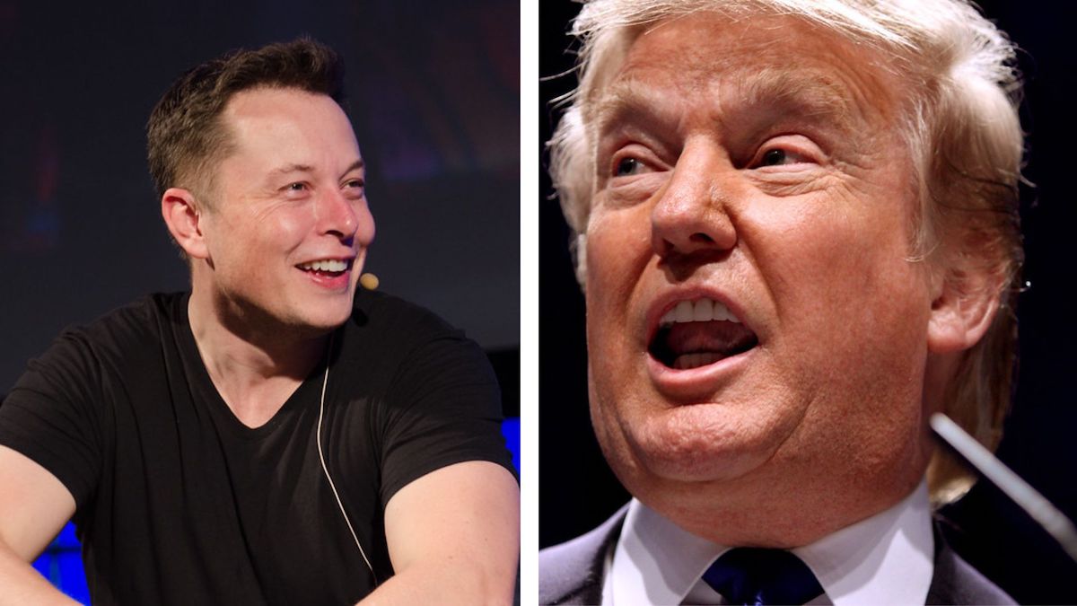 Trump Expresses Compelled Support for Electric Vehicles Following Strong Endorsement by Elon Musk