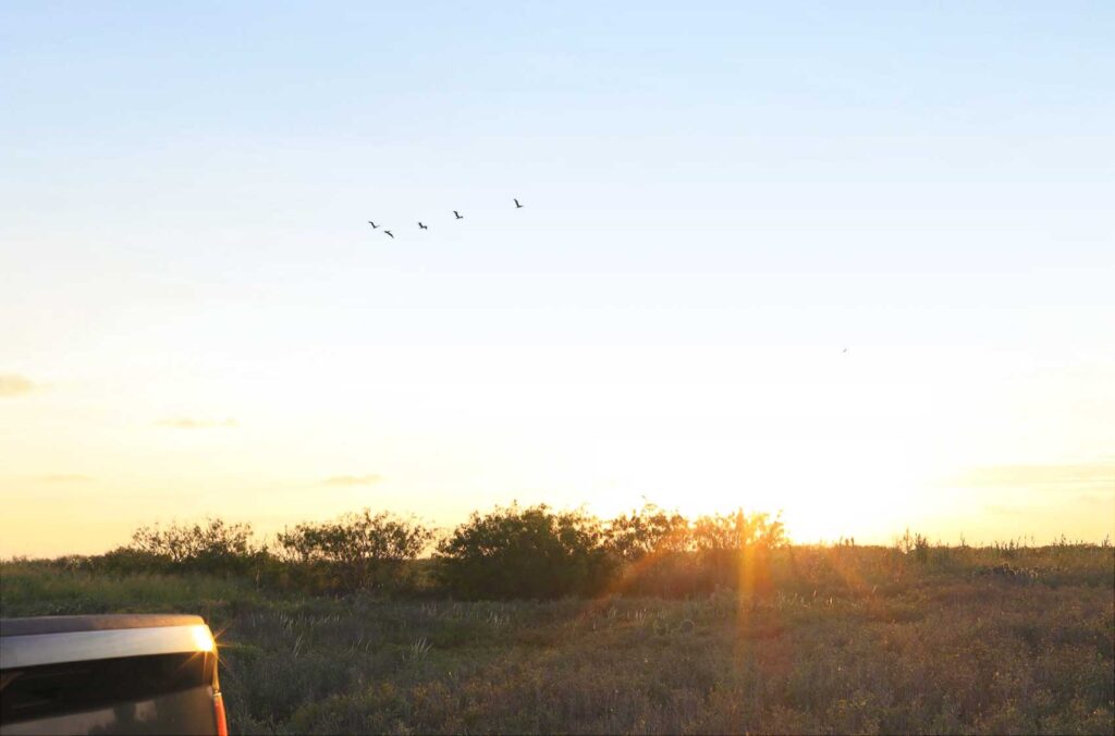 What CAH's land looked before SpaceX's alleged trespassing