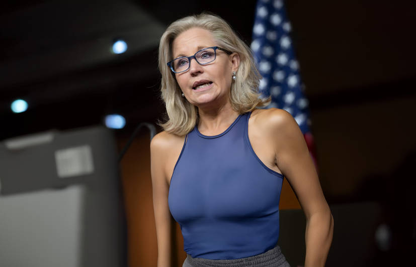 Liz Cheney Campaigns with Harris and Urges Voters to Reject Trump’s ‘Cruelty’