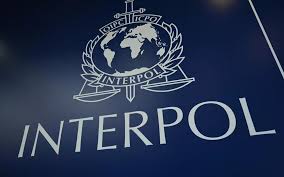 Interpol Issues Global Alert for Hex Founder Richard Heart