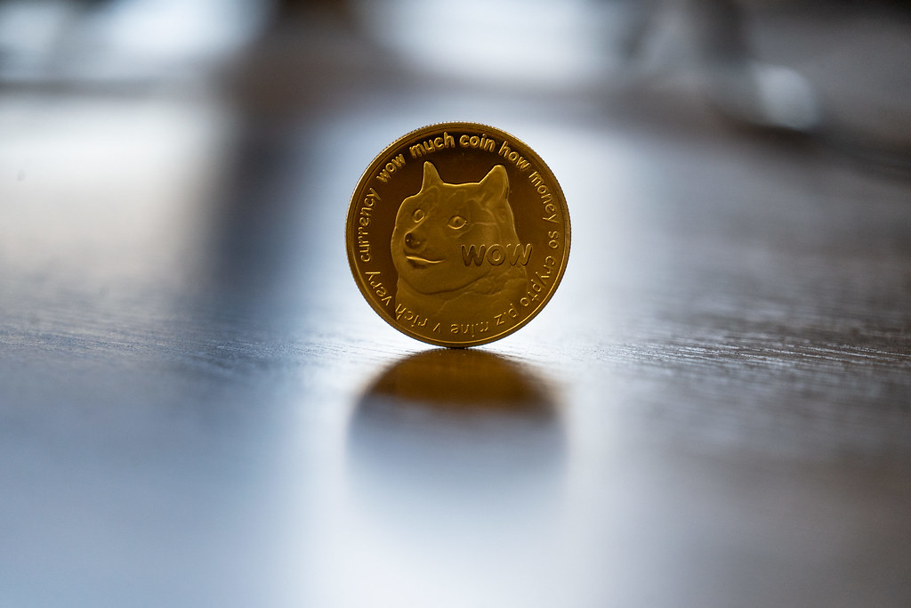 Dogecoin Soars 21% as Whales Accumulate, Galaxy Predicts $1 DOGE by 2025