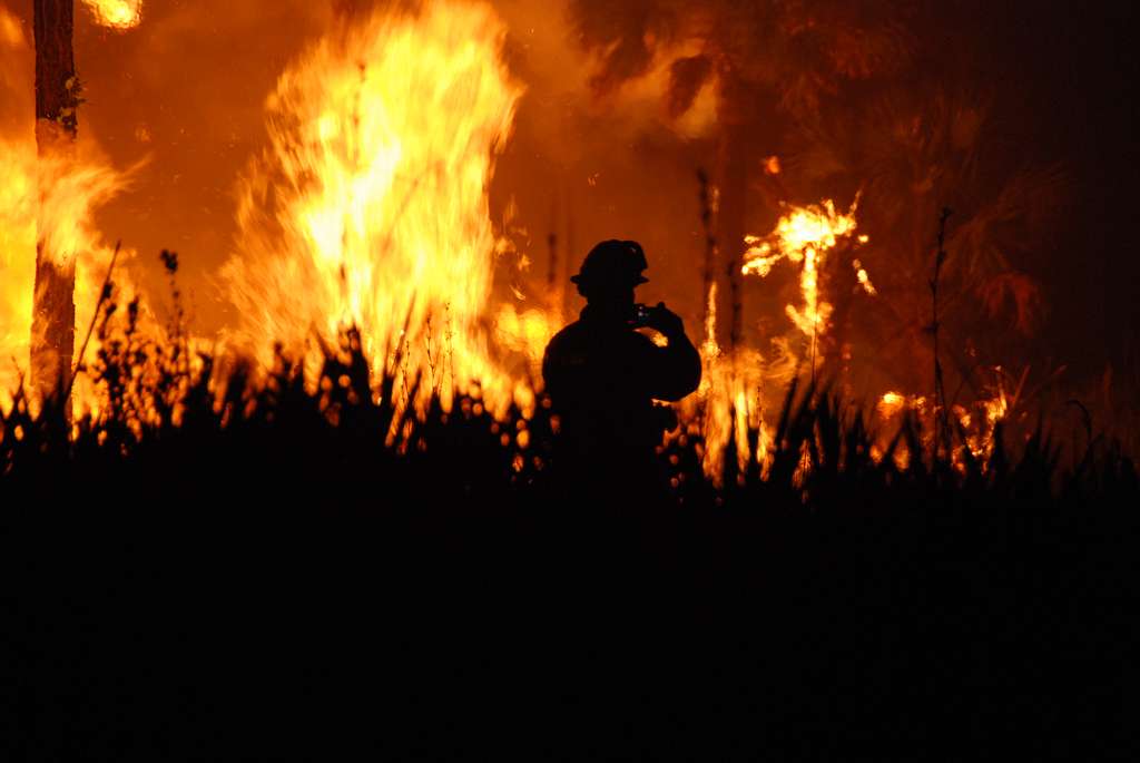 Starlink and T-Mobile Partner to Aid Los Angeles Wildfire Victims with Direct-to-Cell Service