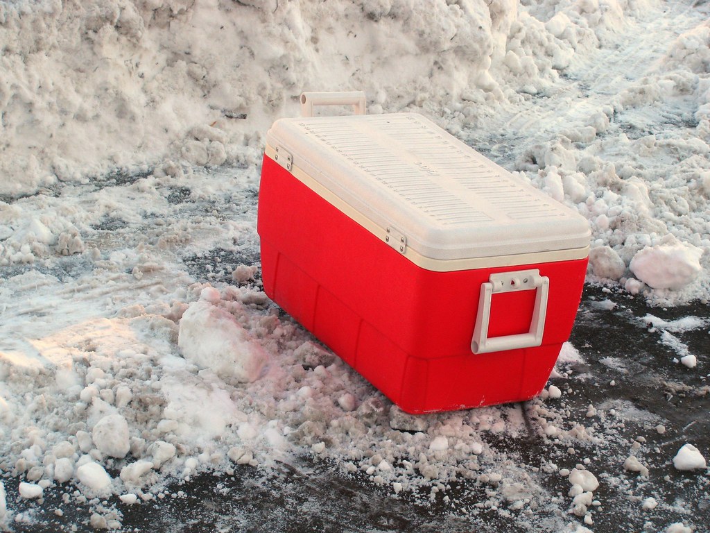 Igloo Recalls Over a Million Coolers Amid Safety Concerns