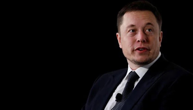 DOGE Chief Elon Musk Says Running Businesses Is a Struggle as Tesla Shares Plunge