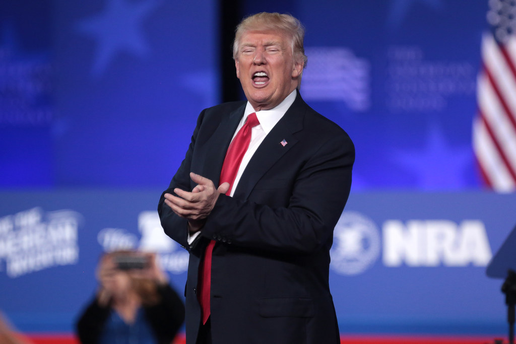 Trump Removes Copyright Office Director Following Report on AI Training Concerns