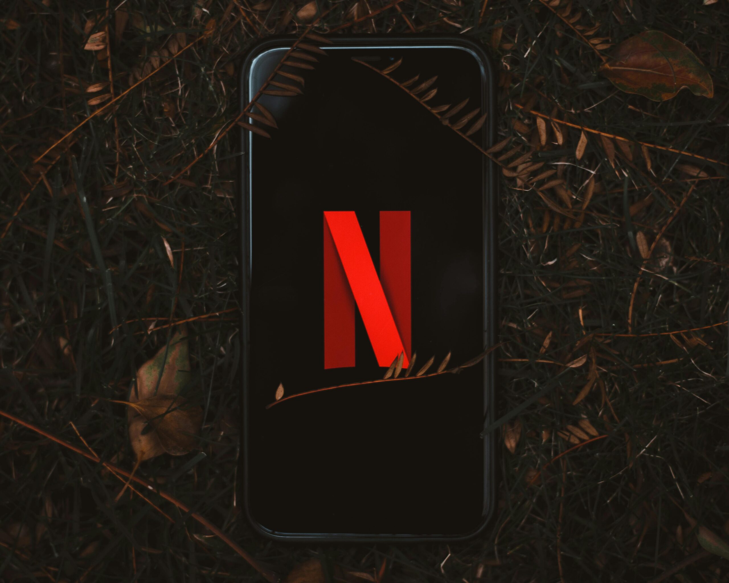 Netflix Launches New Vertical Feed for Short Videos on Mobile