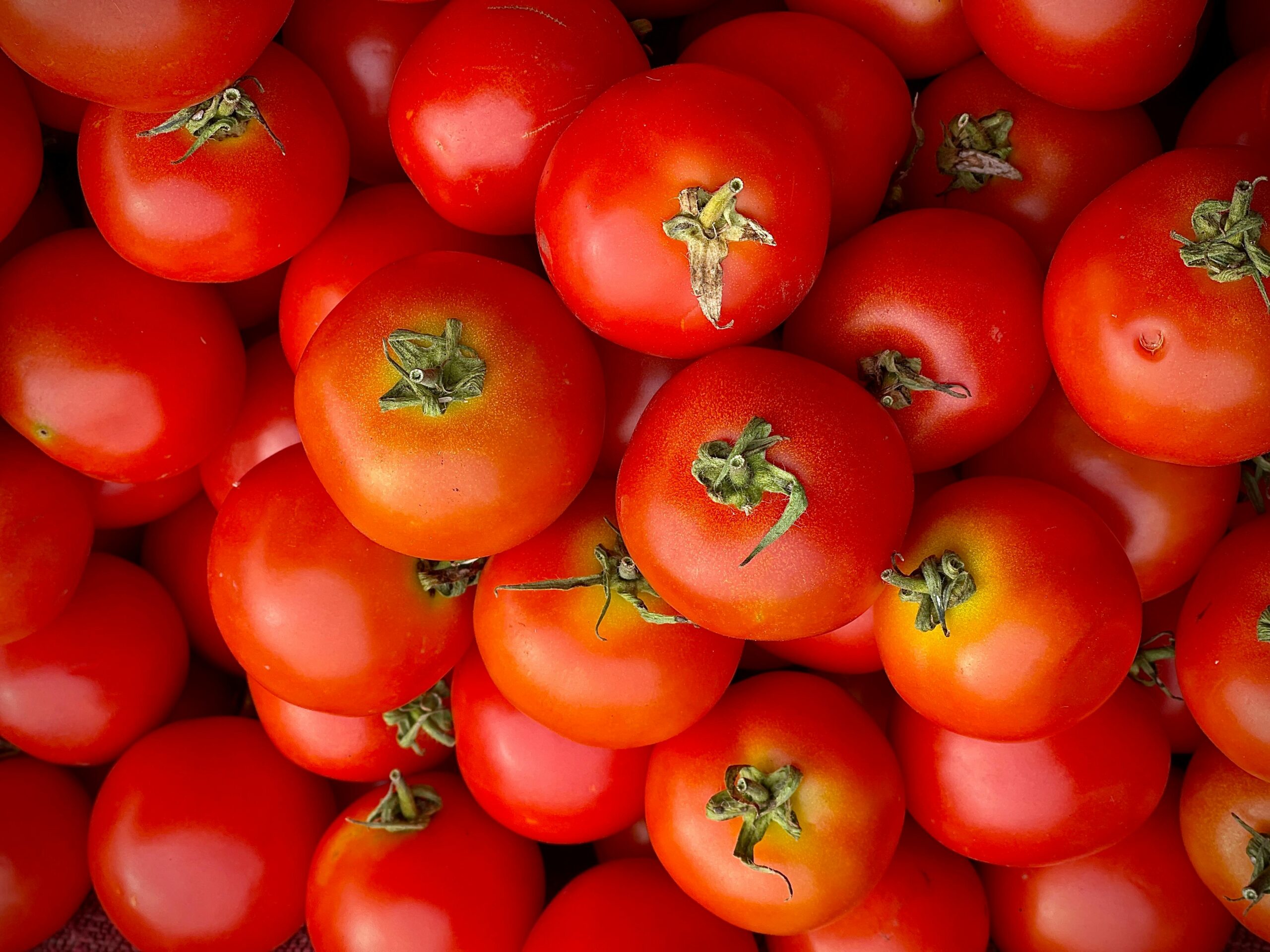 Trump Imposes 17% Tariff on Mexican Tomato Imports