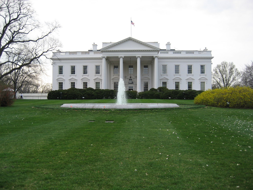US Approves OpenAI, Google, and Anthropic as AI Vendors for Federal Agencies