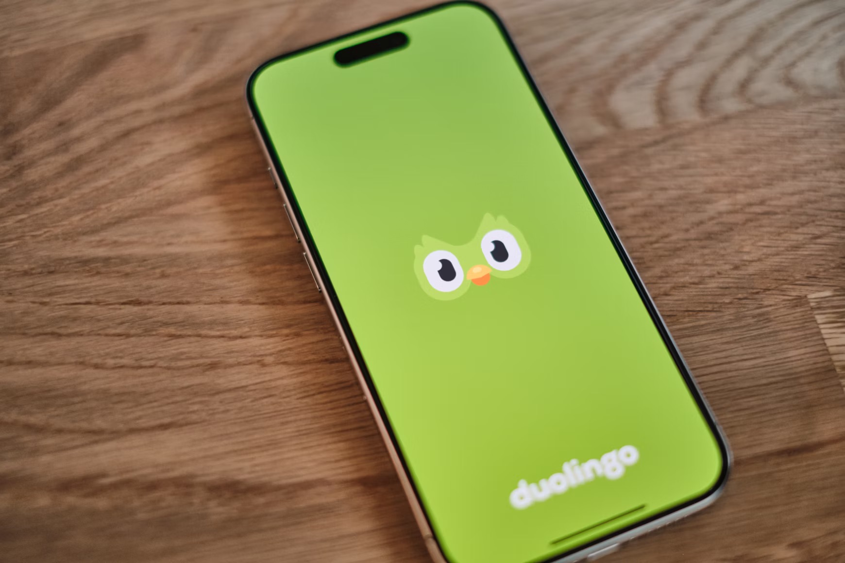 Duolingo CEO Says AI Memo Was Taken Out of Context