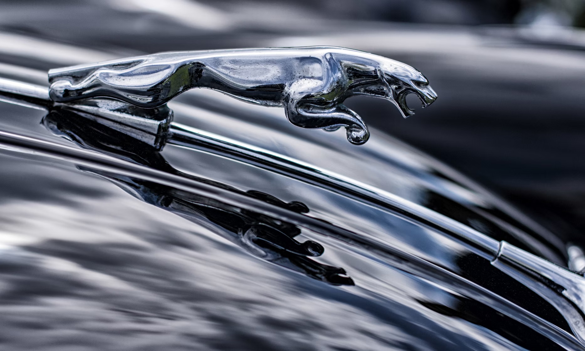 Government Could Buy Car Parts to Protect Jaguar Land Rover Suppliers