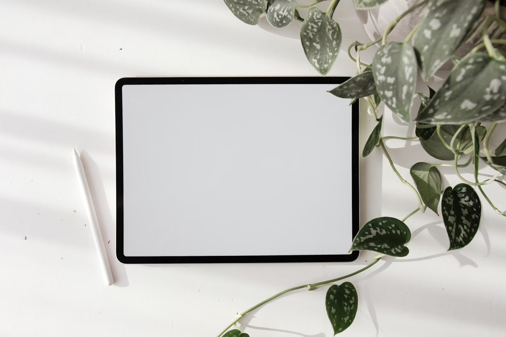 Instagram Finally Lands on iPad, Puts Reels Front and Center