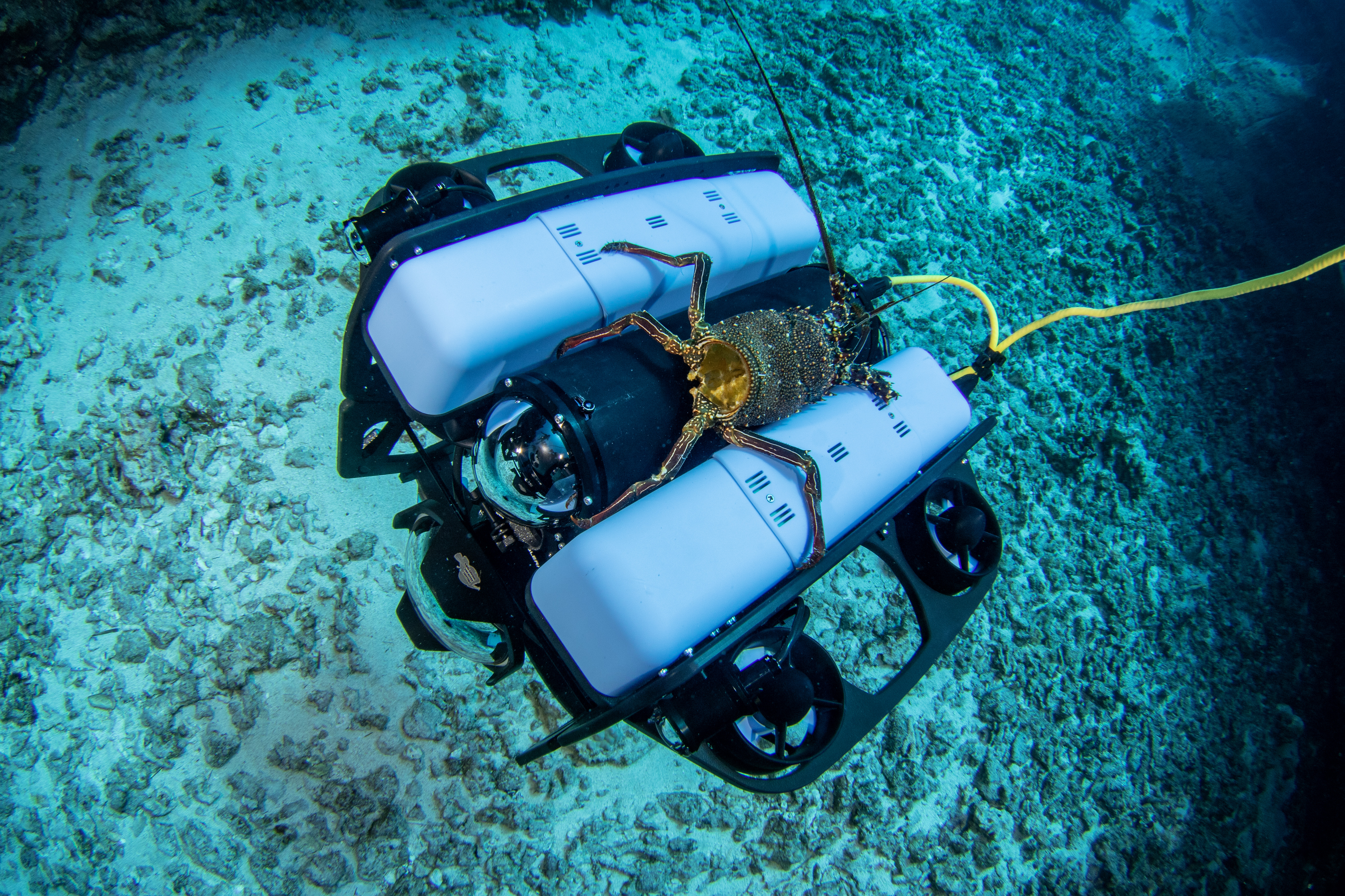 Skana Robotics uses AI to enable long-distance underwater communication between autonomous vessels