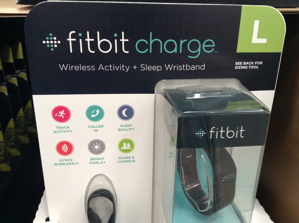 Fitbit Founders Launch AI Startup Luffu To Focus On Family Health Monitoring