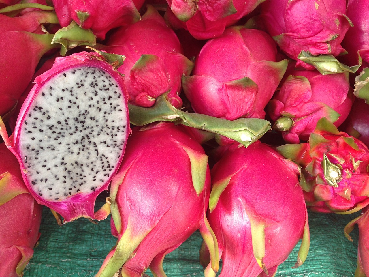 Indian Farmers Turn To Dragon Fruit As Crop Gains Traction And Investment