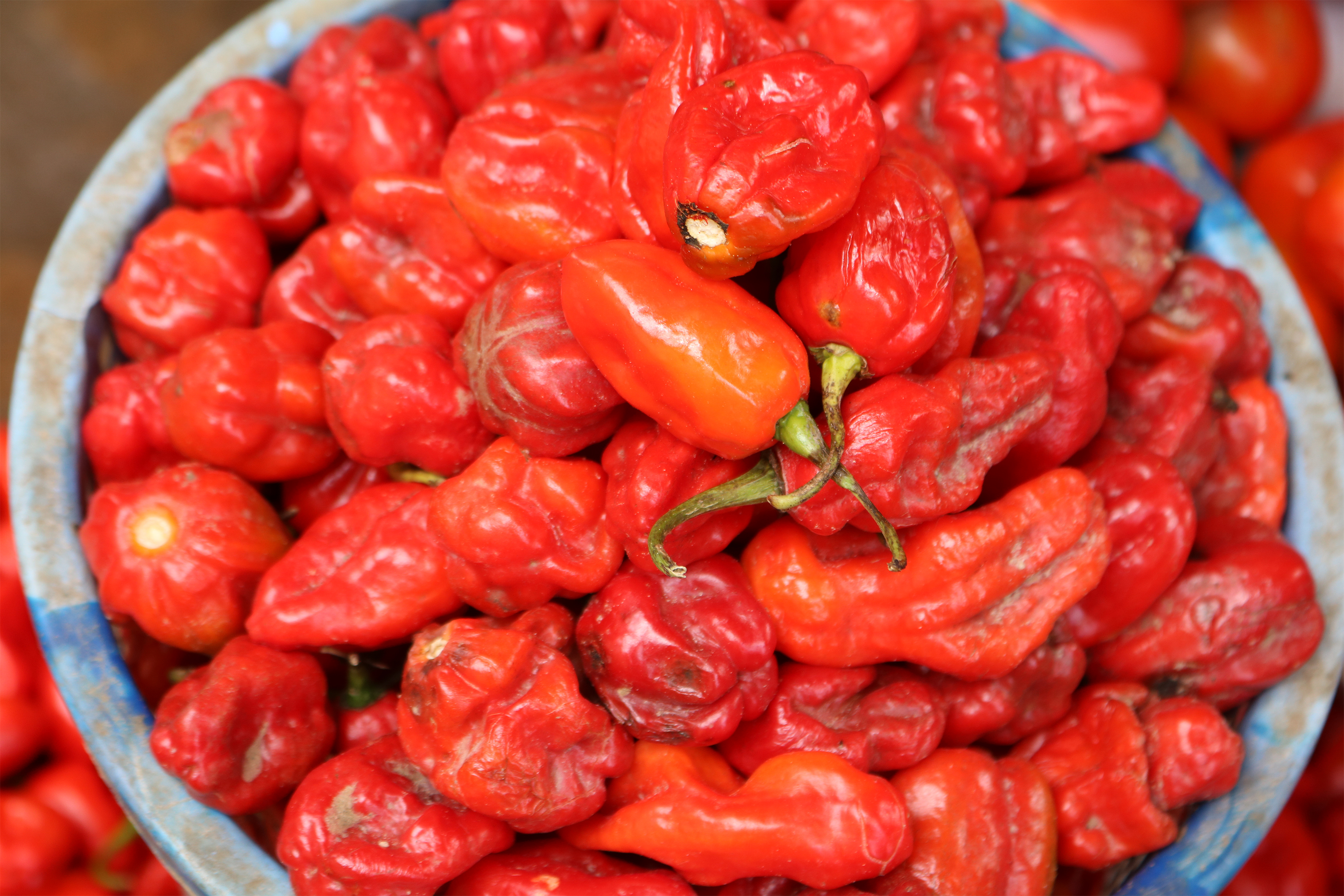 Caribbean Scotch Bonnet Pepper Shortage Threatens Hot Sauce Supply Amid Climate And Hurricane Impacts