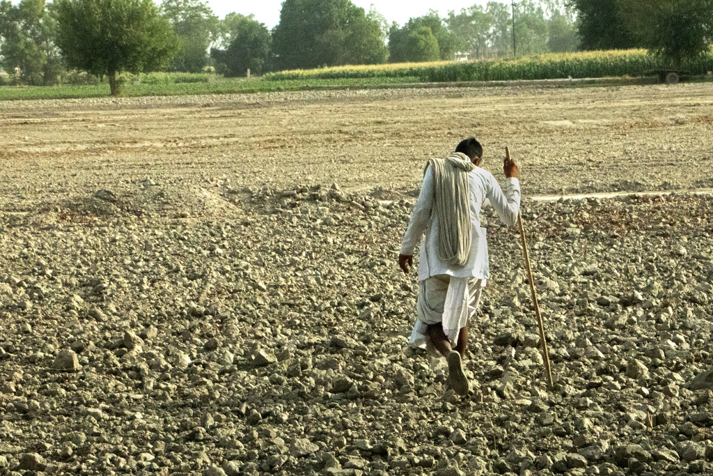 India Records Fifth-Driest June Since 1901 as Crop Planting Falls