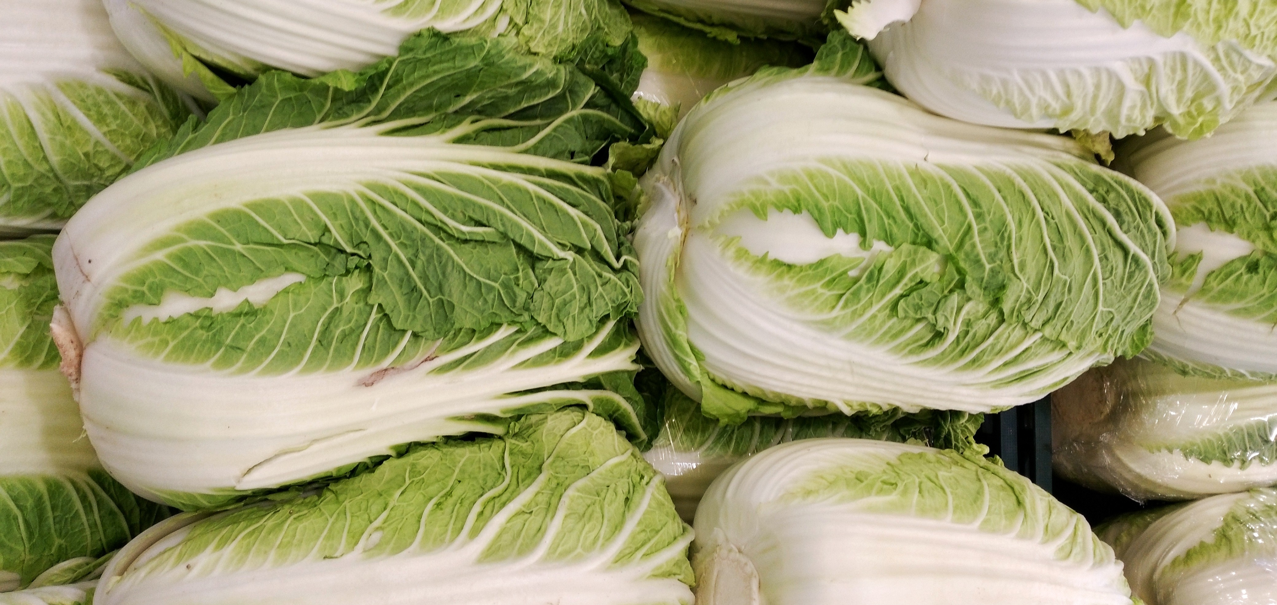 China Investigates Reports of Formaldehyde Used to Preserve Cabbages