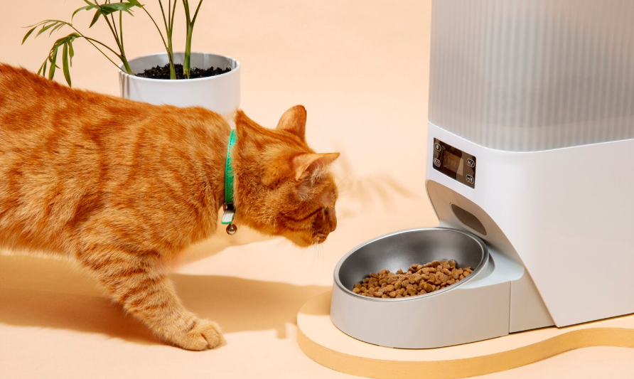Petlibro Granary 2 Adds AI Cameras and Food Intake Tracking to Smart Feeders