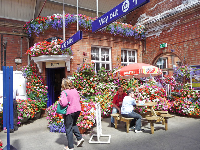 Record UK Summer Leaves British Flower Growers Counting Crop Losses